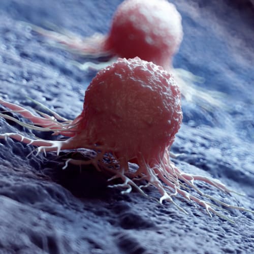 Cancer cell - Pipeline circle image